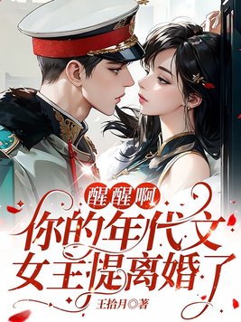 醒醒啊,你的年代文女主提离婚了全文免费阅读
